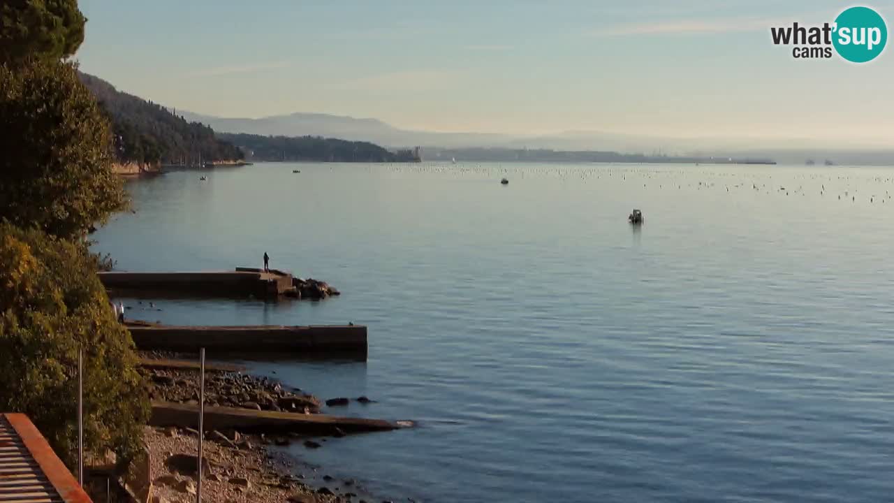 Webcam BellaRiva restaurant | Trieste coast – view to Miramare castle