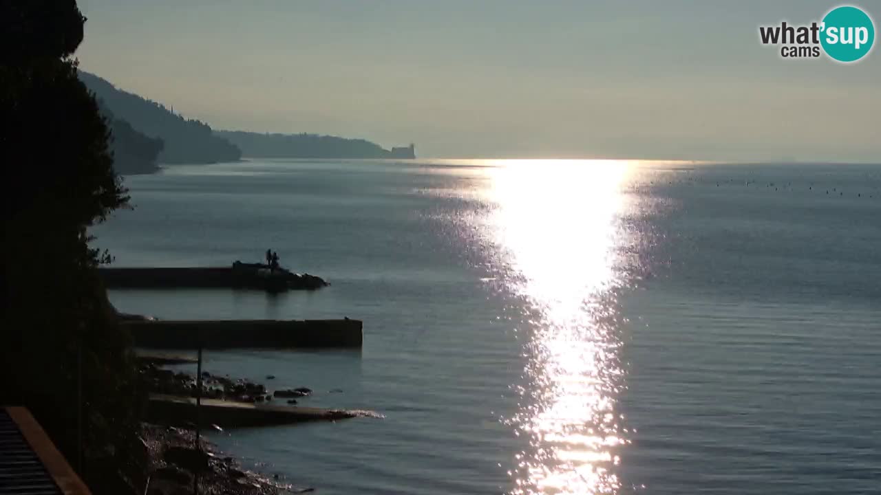 Web kamera restorana BellaRiva | Obala Trsta – pogled na dvorac Miramare