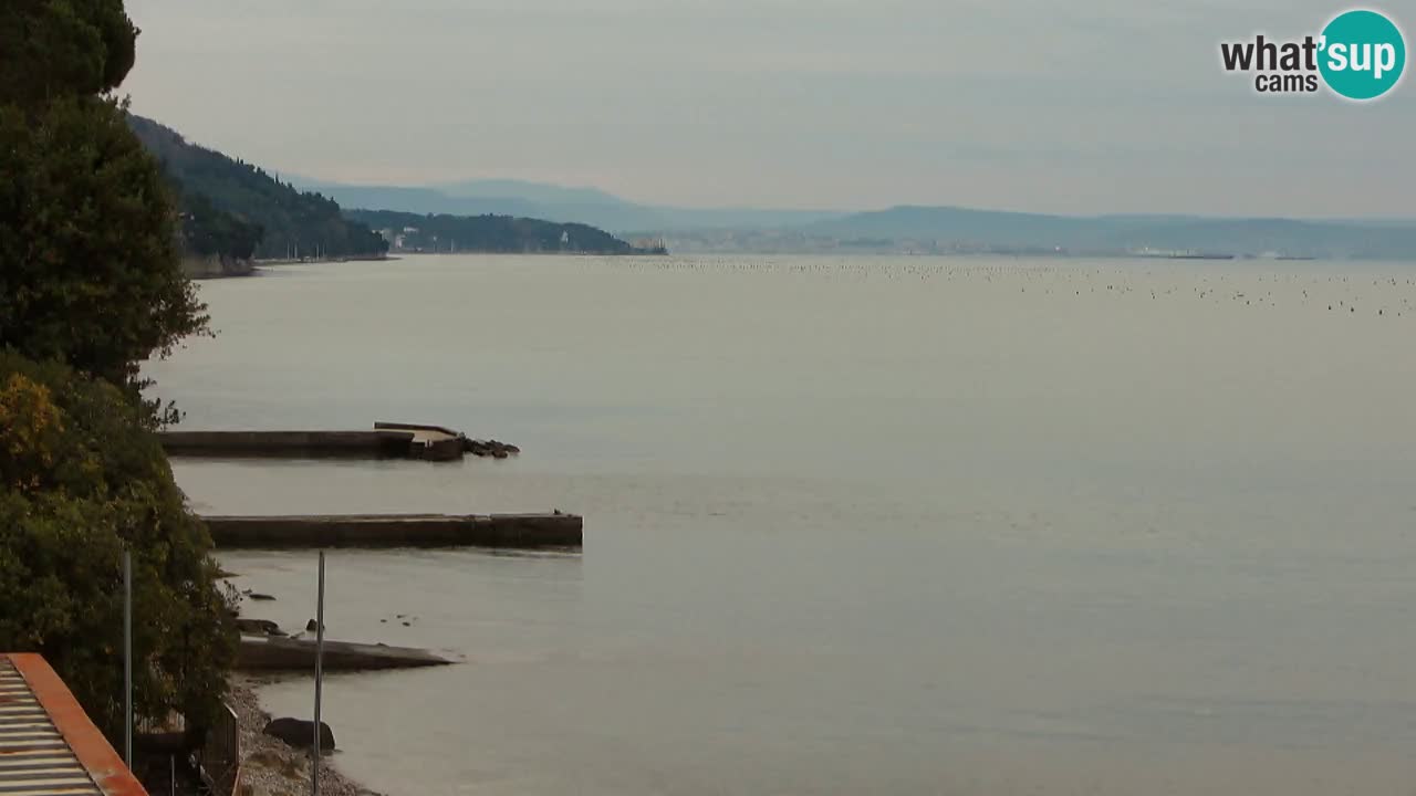 Webcam du restaurant BellaRiva | Côte de Trieste – vue sur le château de Miramare