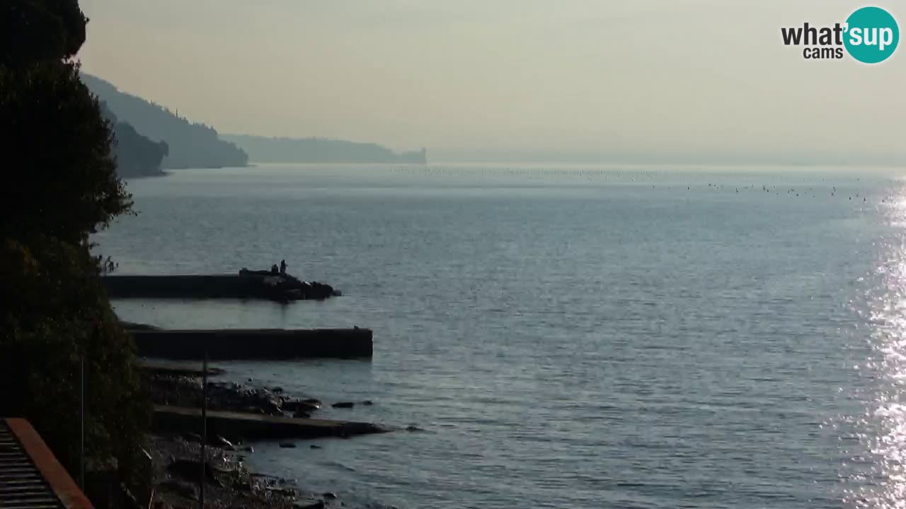 Webcam BellaRiva restaurant | Trieste coast – view to Miramare castle