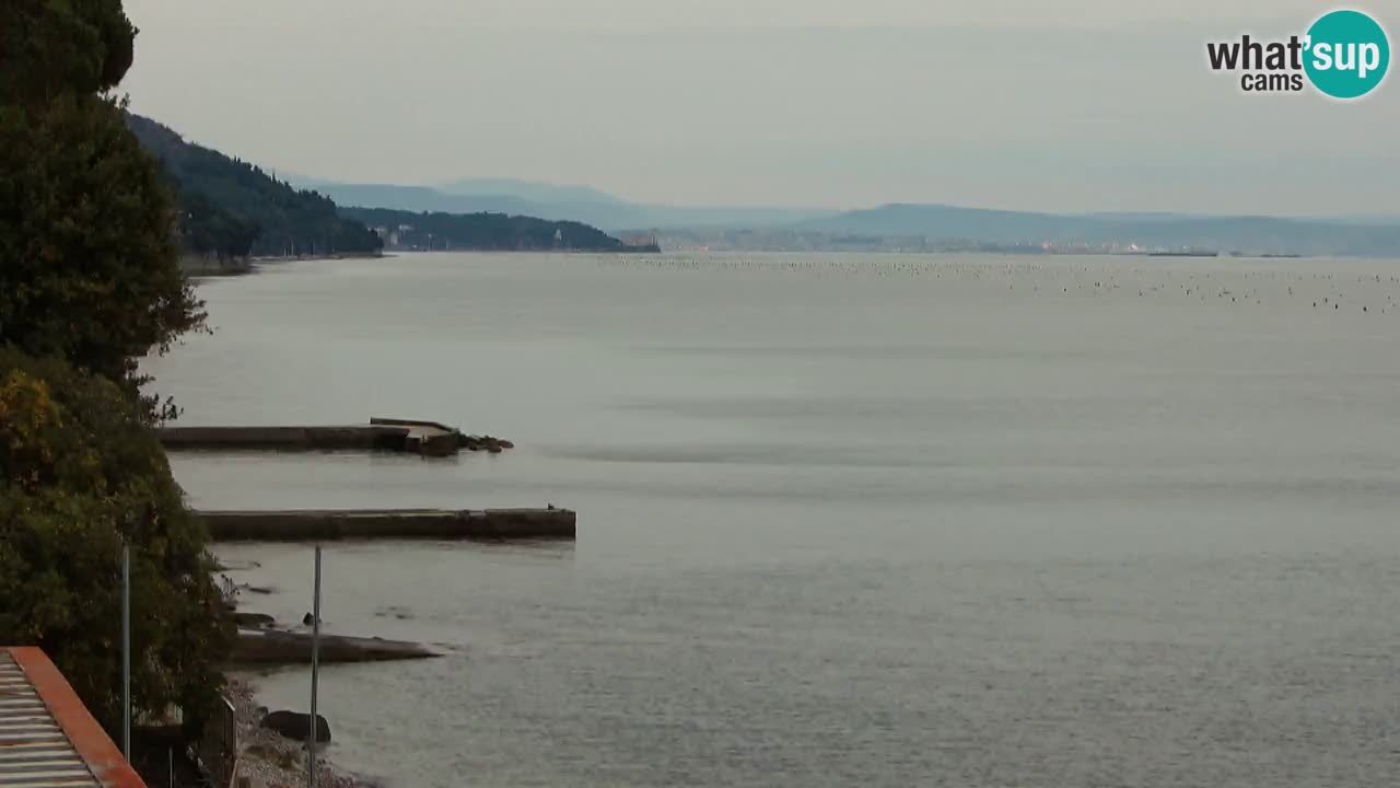 Web kamera restorana BellaRiva | Obala Trsta – pogled na dvorac Miramare