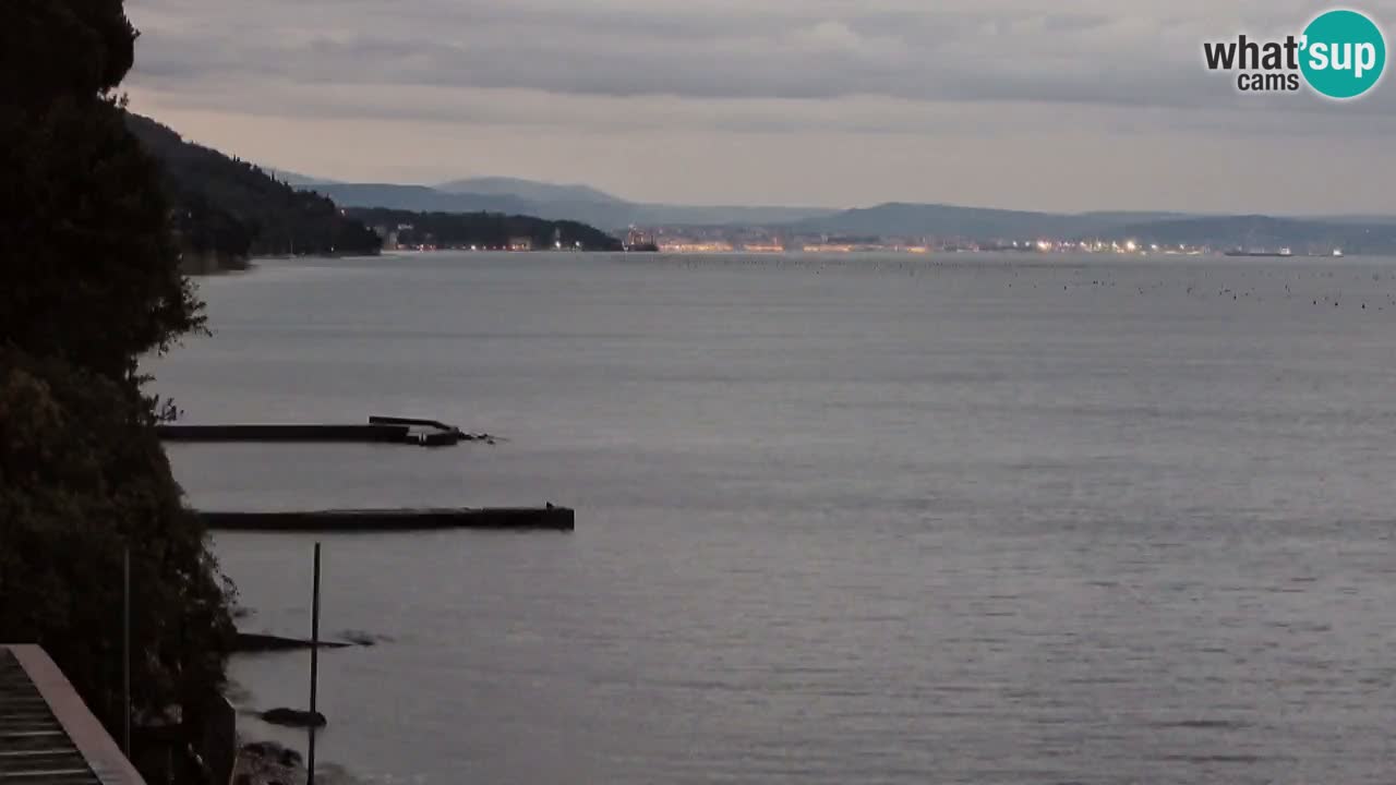 Webcam BellaRiva restaurant | Trieste coast – view to Miramare castle