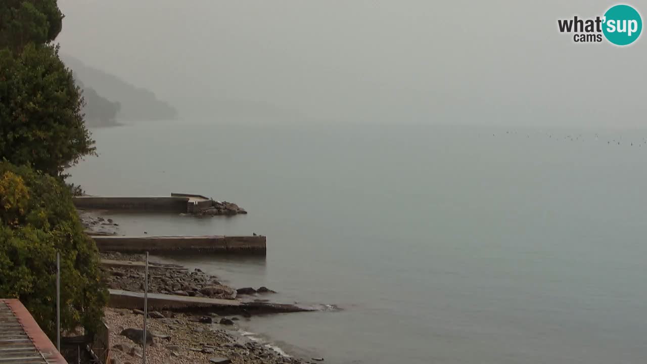 Webcam del restaurante BellaRiva | Costa de Trieste – vista hacia el castillo de Miramare