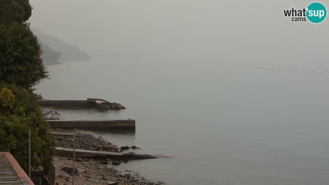 Web kamera restorana BellaRiva | Obala Trsta – pogled na dvorac Miramare