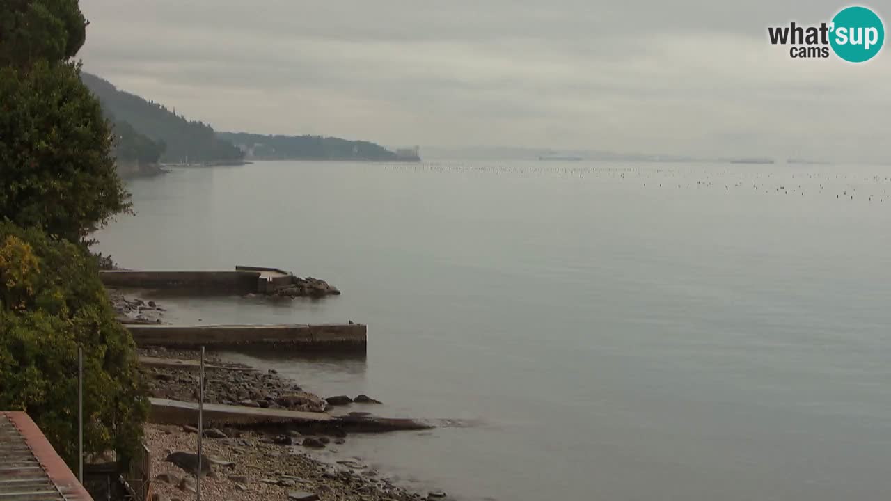 Webcam del restaurante BellaRiva | Costa de Trieste – vista hacia el castillo de Miramare