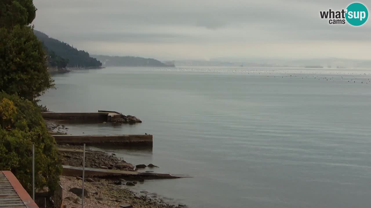 Gostilna BellaRiva kamera | Trst obala – pogled na Miramarski grad