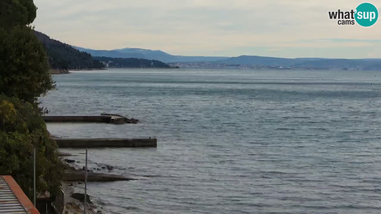 Webcam du restaurant BellaRiva | Côte de Trieste – vue sur le château de Miramare