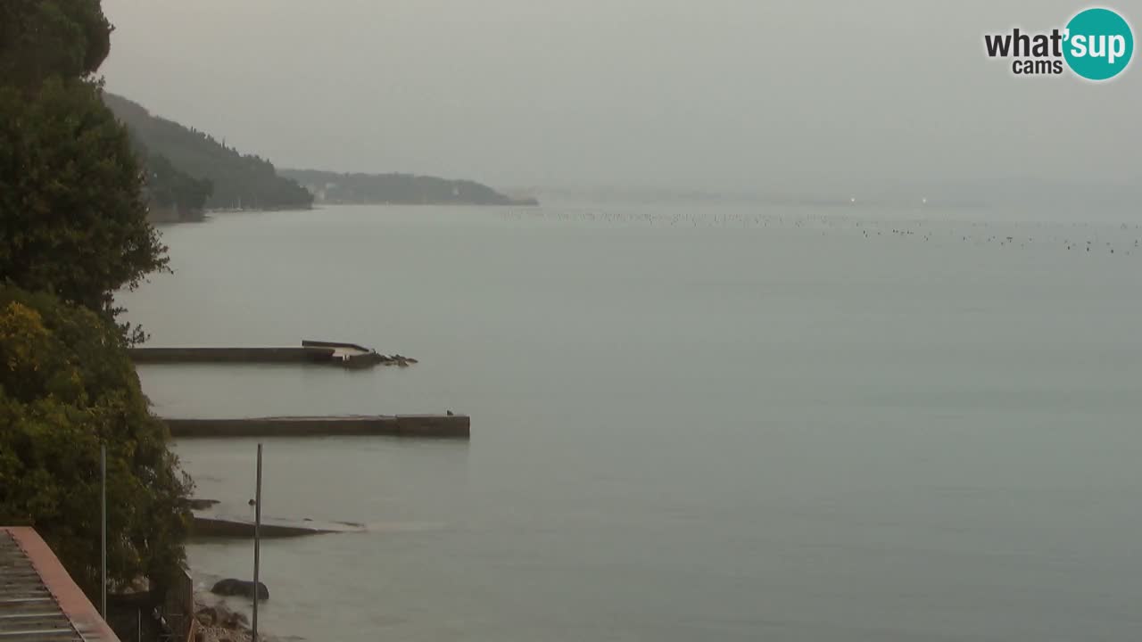 Webcam du restaurant BellaRiva | Côte de Trieste – vue sur le château de Miramare