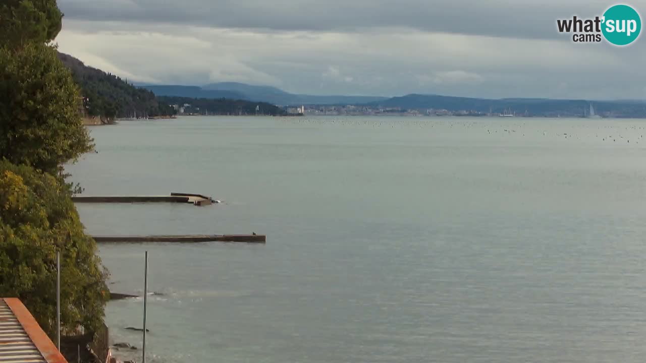 Web kamera restorana BellaRiva | Obala Trsta – pogled na dvorac Miramare