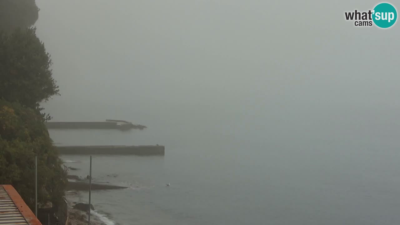 Trattoria BellaRiva webcam | Trieste costiera e castello di Miramare