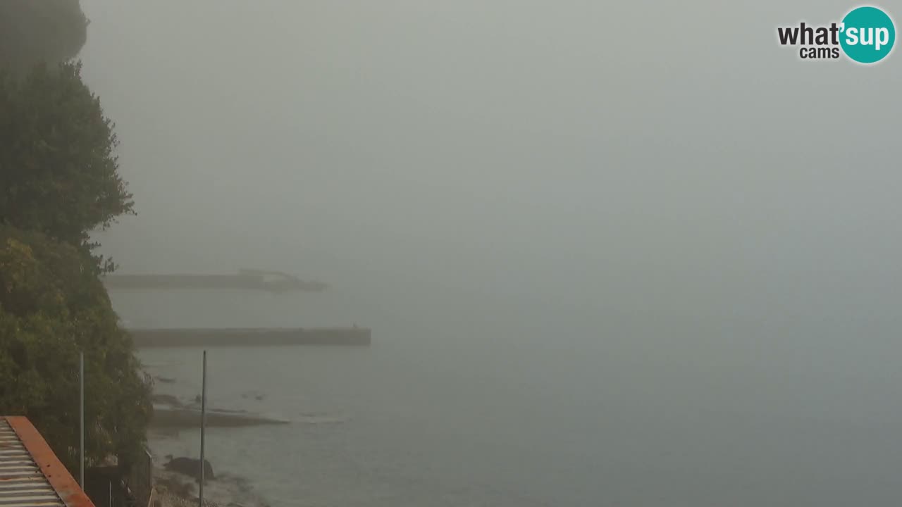 Webcam du restaurant BellaRiva | Côte de Trieste – vue sur le château de Miramare