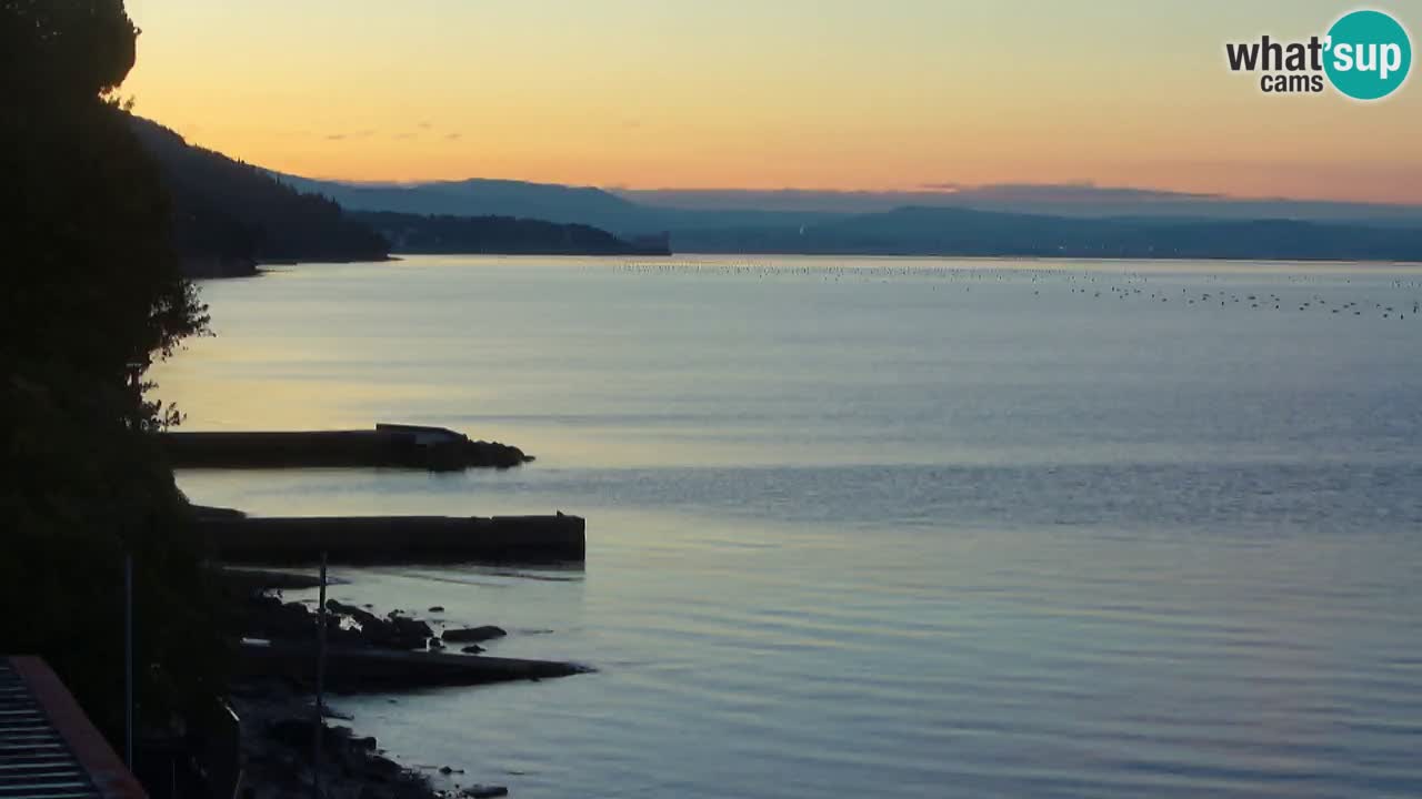 Webcam BellaRiva restaurant | Trieste coast – view to Miramare castle