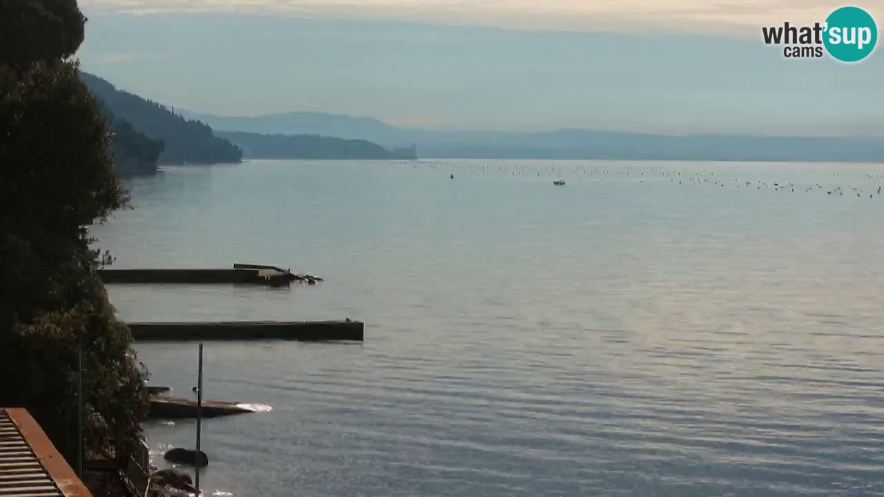 Trattoria BellaRiva webcam | Trieste costiera e castello di Miramare
