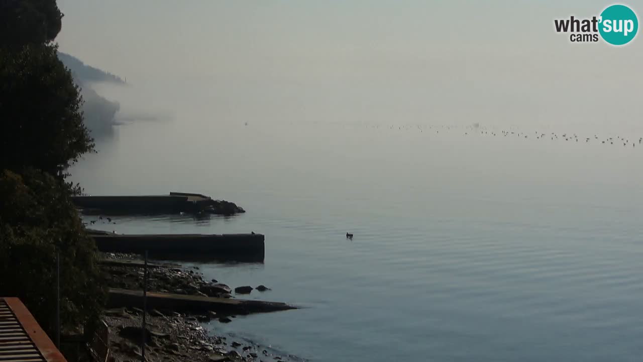 Trattoria BellaRiva webcam | Trieste costiera e castello di Miramare