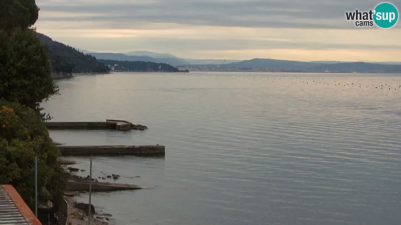 Webcam BellaRiva restaurant | Trieste coast – view to Miramare castle