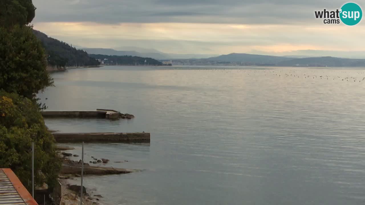 Webcam del restaurante BellaRiva | Costa de Trieste – vista hacia el castillo de Miramare