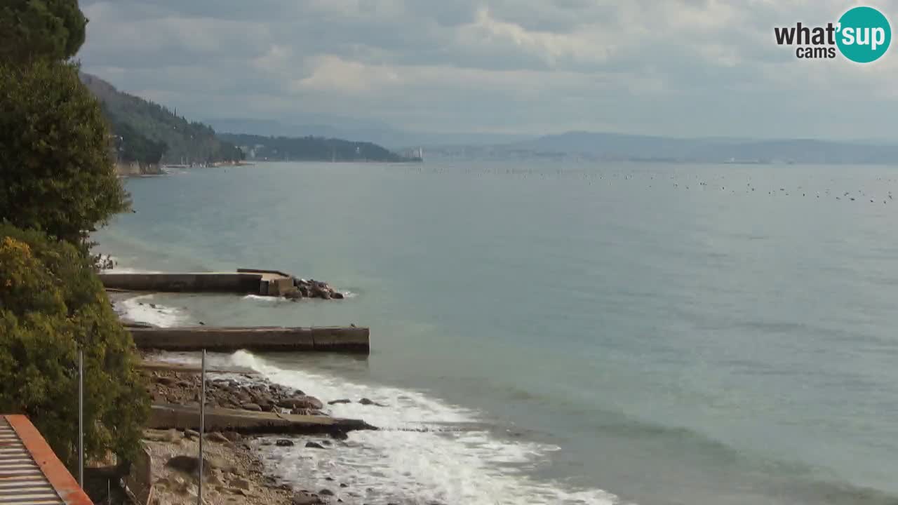 Webcam Restaurant BellaRiva | Küste von Triest – Blick auf das Schloss Miramare