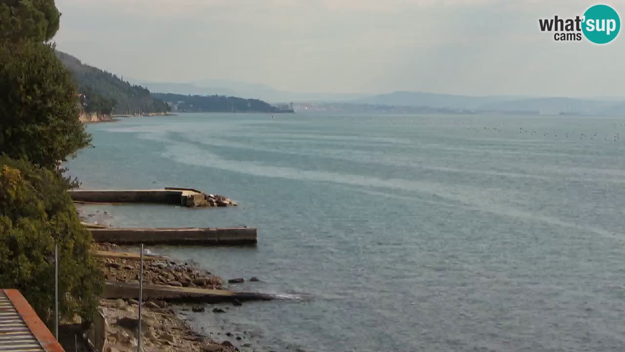 Webcam Restaurant BellaRiva | Küste von Triest – Blick auf das Schloss Miramare