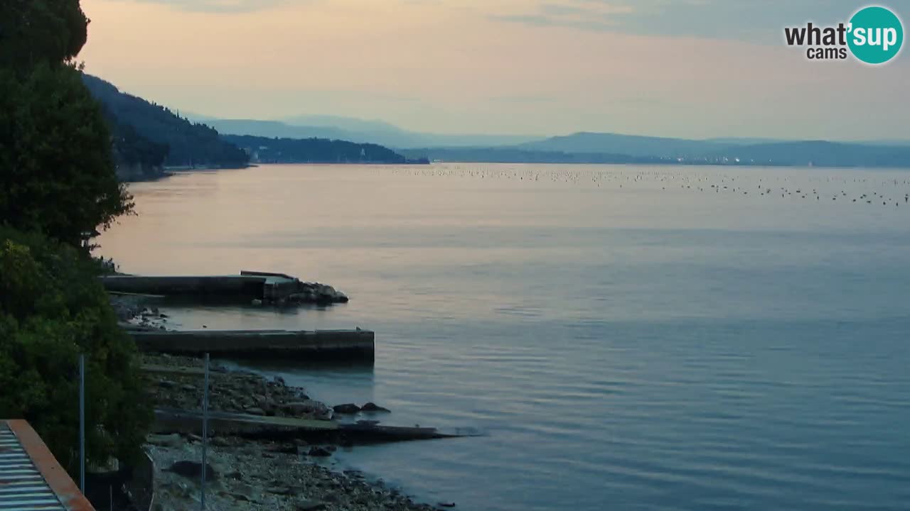 Webcam du restaurant BellaRiva | Côte de Trieste – vue sur le château de Miramare