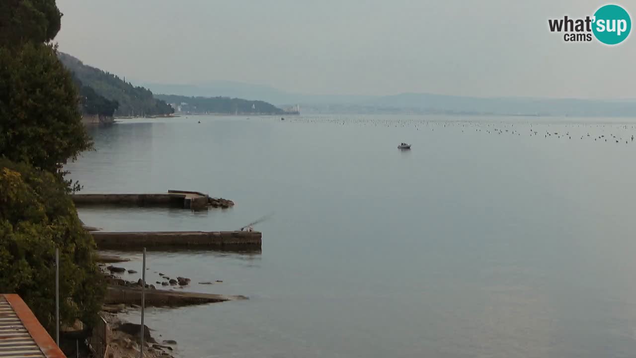 Webcam du restaurant BellaRiva | Côte de Trieste – vue sur le château de Miramare