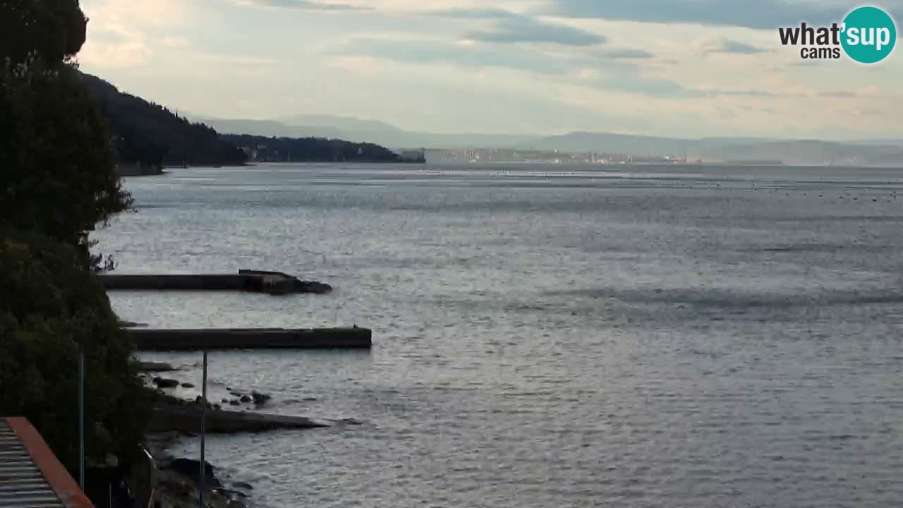 Webcam BellaRiva restaurant | Trieste coast – view to Miramare castle