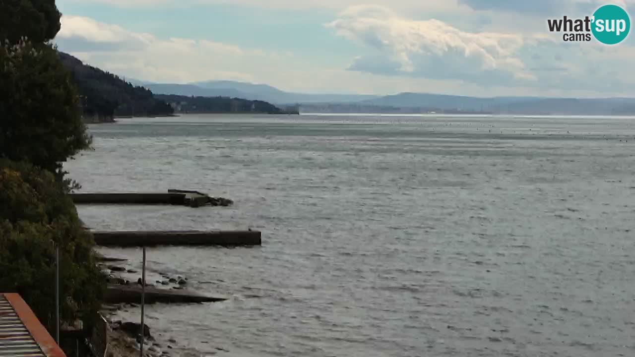 Webcam del restaurante BellaRiva | Costa de Trieste – vista hacia el castillo de Miramare