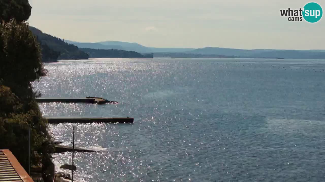 Webcam BellaRiva restaurant | Trieste coast – view to Miramare castle