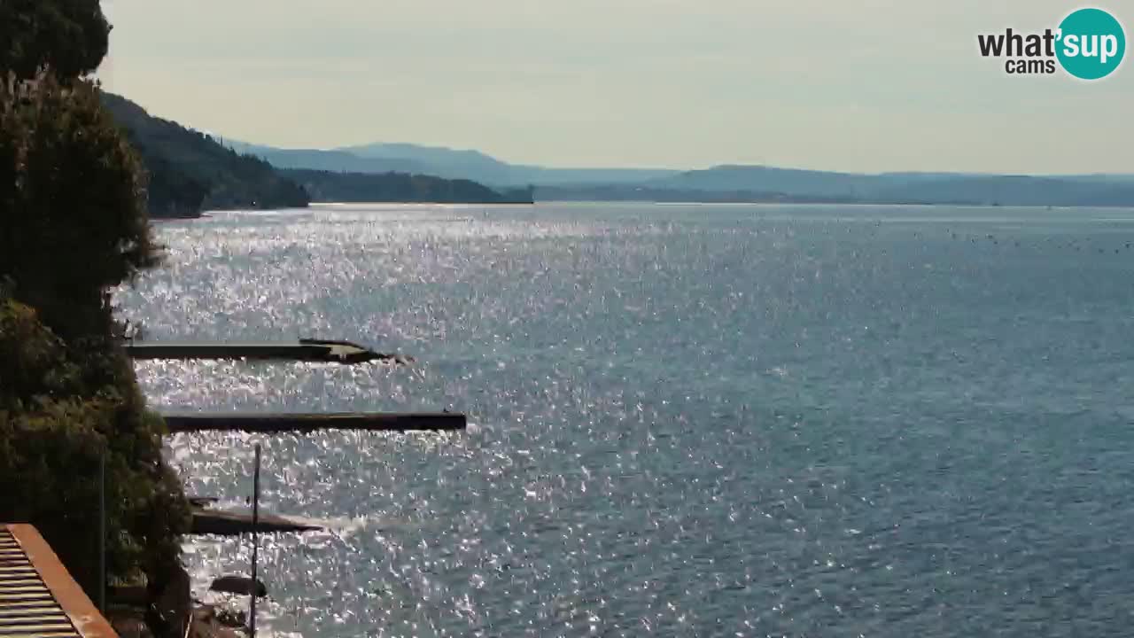 Webcam BellaRiva restaurant | Trieste coast – view to Miramare castle