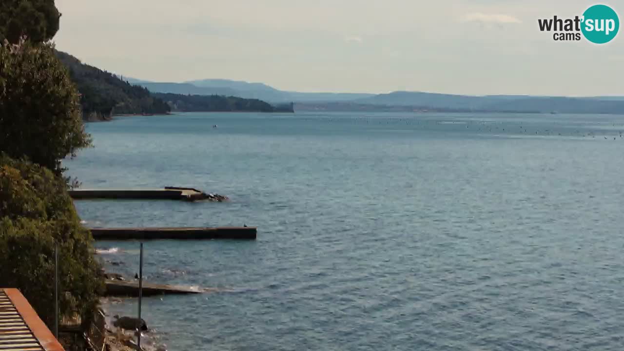 Trattoria BellaRiva webcam | Trieste costiera e castello di Miramare