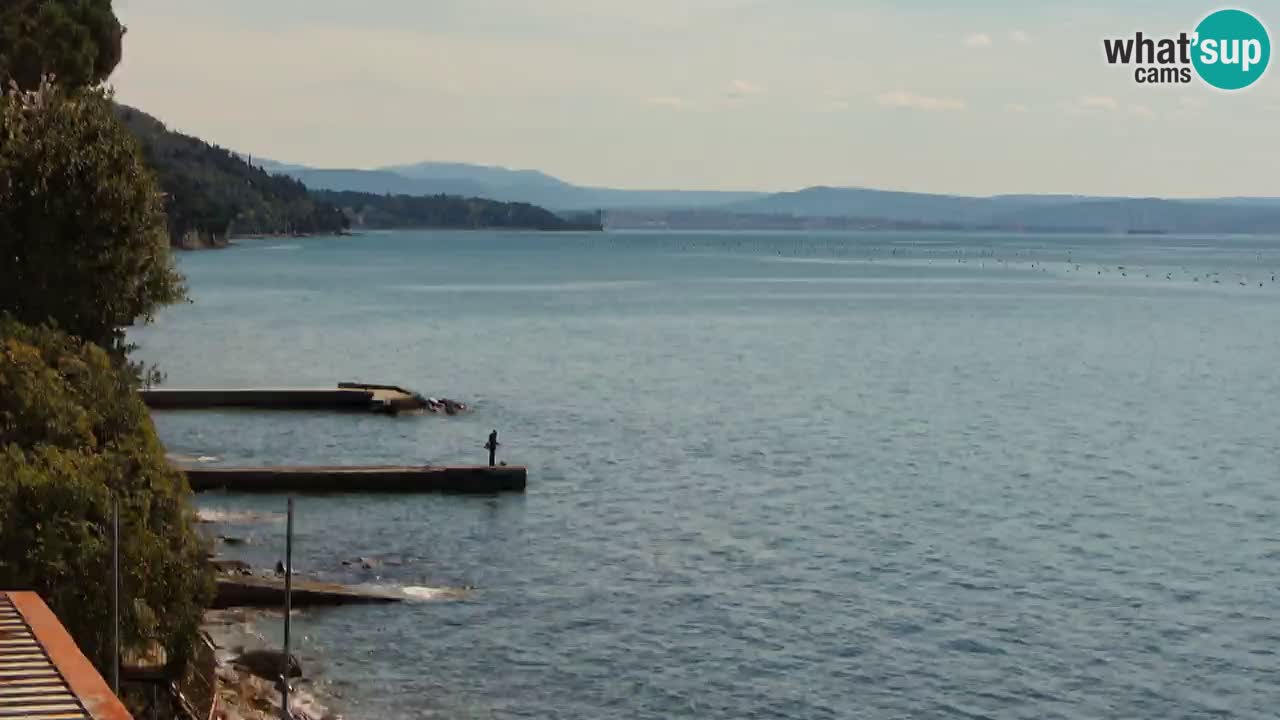 Webcam BellaRiva restaurant | Trieste coast – view to Miramare castle