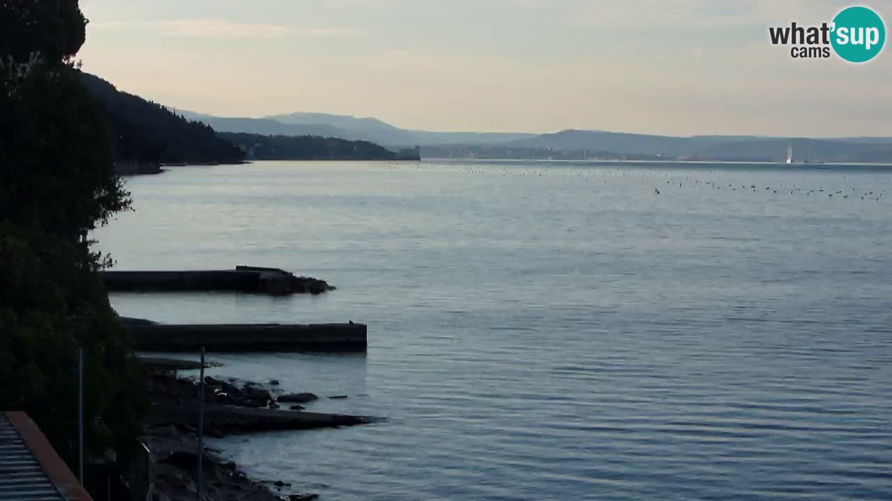 Webcam del restaurante BellaRiva | Costa de Trieste – vista hacia el castillo de Miramare