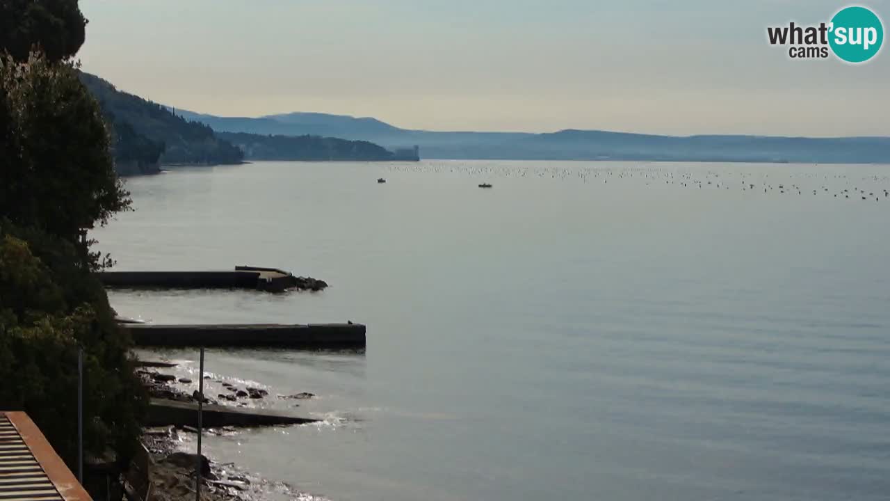Trattoria BellaRiva webcam | Trieste costiera e castello di Miramare