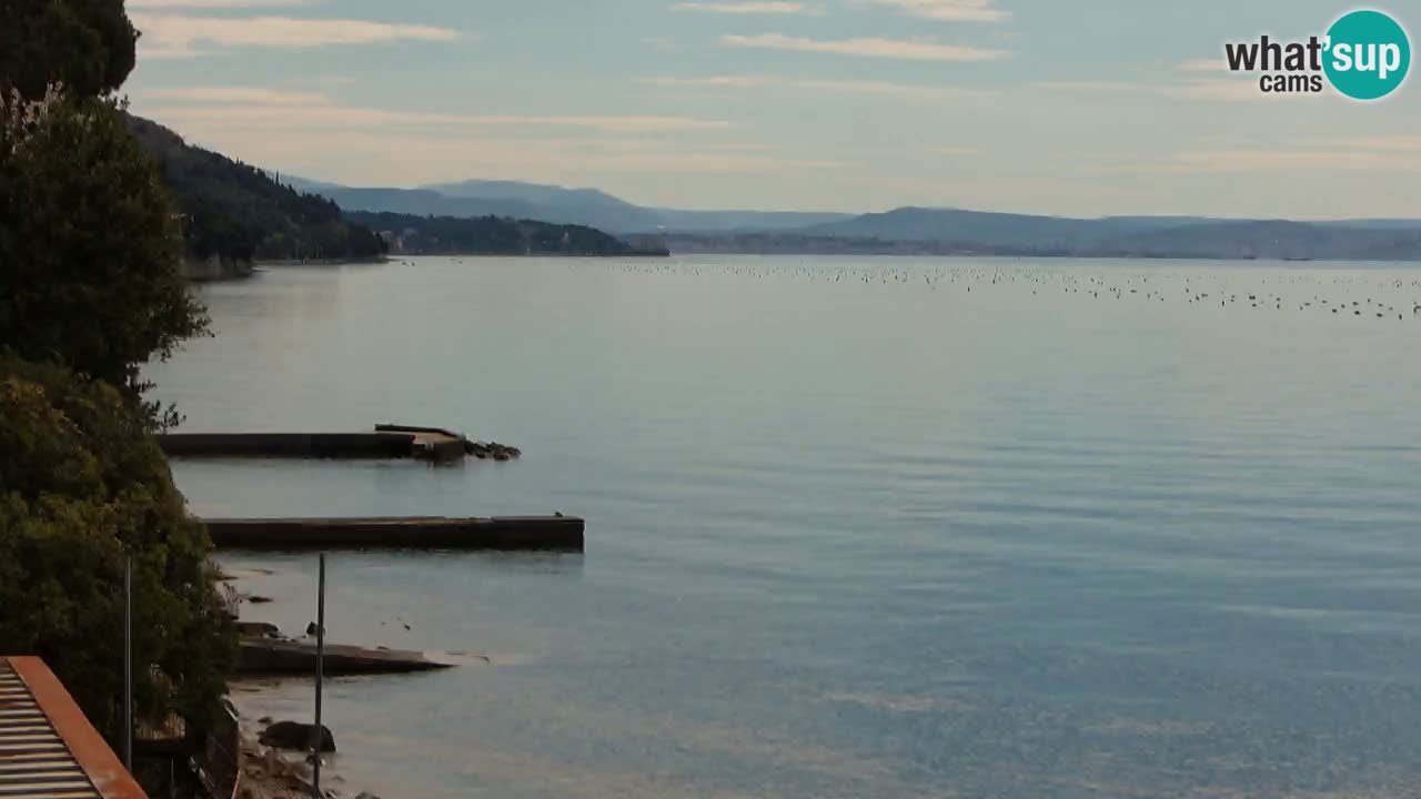 Webcam du restaurant BellaRiva | Côte de Trieste – vue sur le château de Miramare