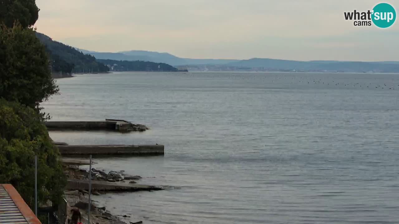 Webcam BellaRiva restaurant | Trieste coast – view to Miramare castle