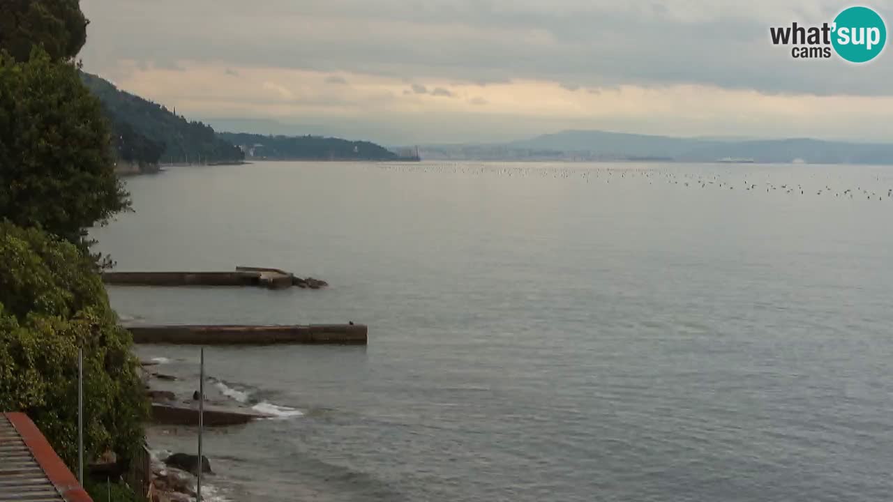 Webcam Restaurant BellaRiva | Küste von Triest – Blick auf das Schloss Miramare