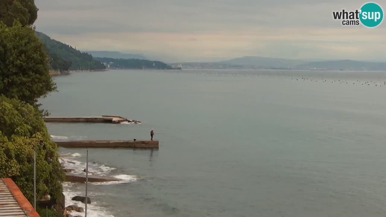 Webcam del restaurante BellaRiva | Costa de Trieste – vista hacia el castillo de Miramare