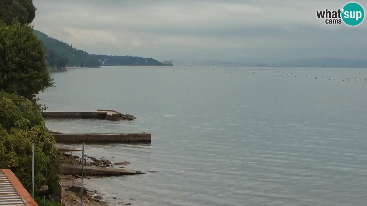 Web kamera restorana BellaRiva | Obala Trsta – pogled na dvorac Miramare