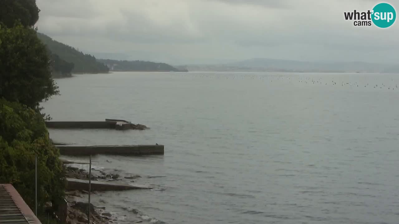 Webcam Restaurant BellaRiva | Küste von Triest – Blick auf das Schloss Miramare