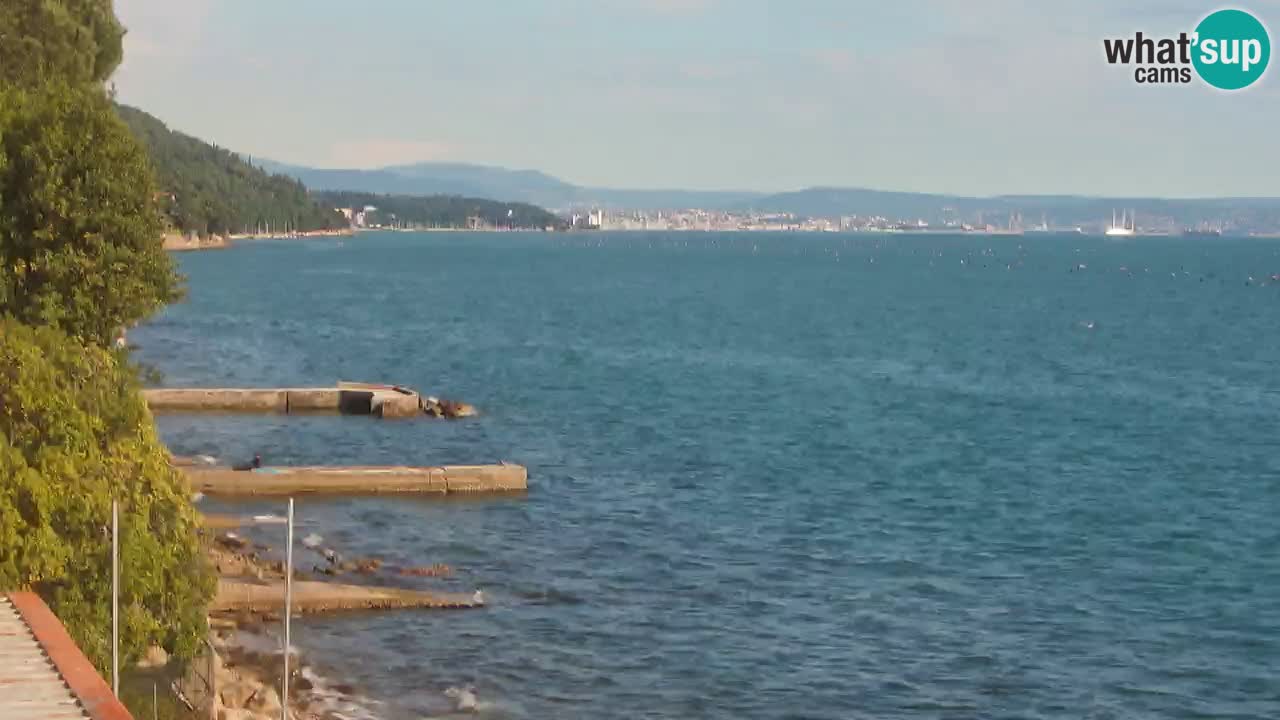 Webcam del restaurante BellaRiva | Costa de Trieste – vista hacia el castillo de Miramare