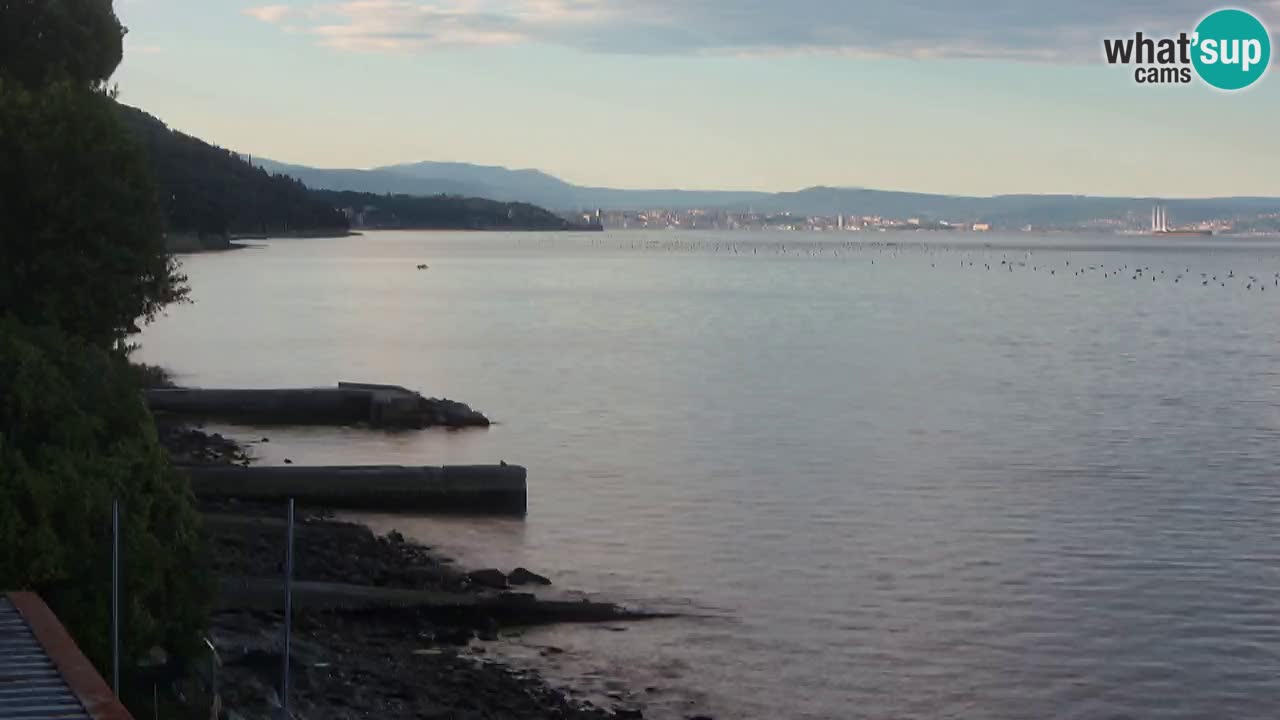 Webcam Restaurant BellaRiva | Küste von Triest – Blick auf das Schloss Miramare