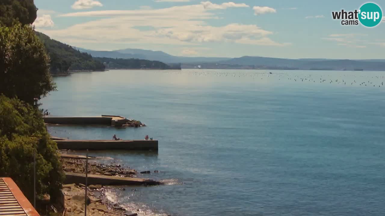 Gostilna BellaRiva kamera | Trst obala – pogled na Miramarski grad
