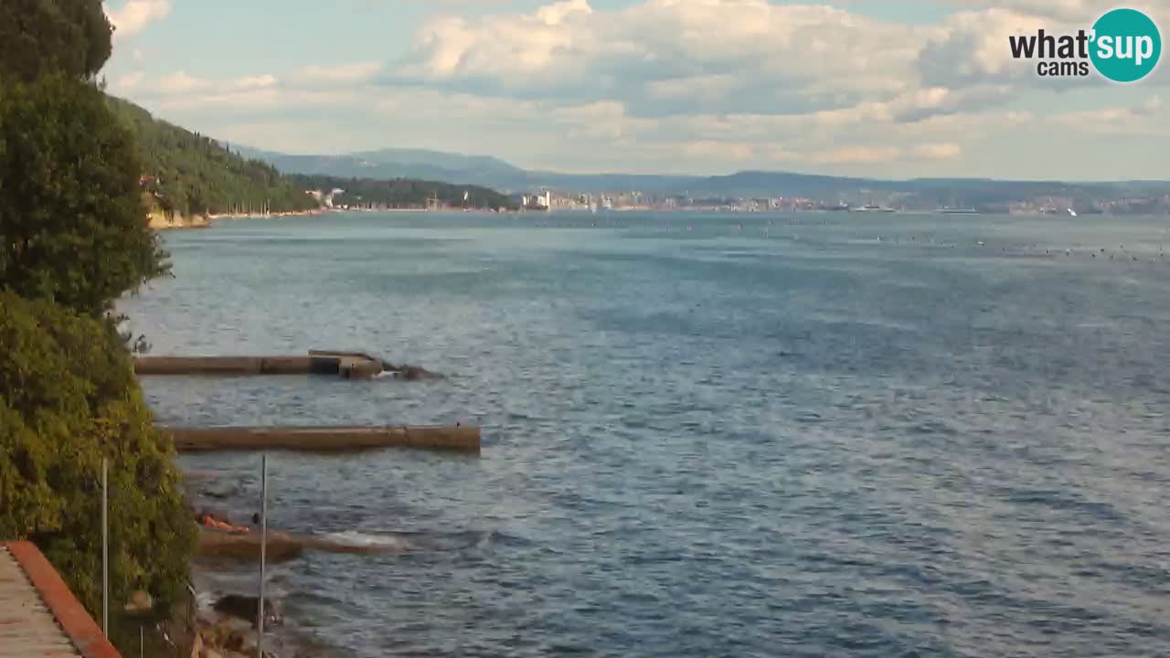 Webcam BellaRiva restaurant | Trieste coast – view to Miramare castle