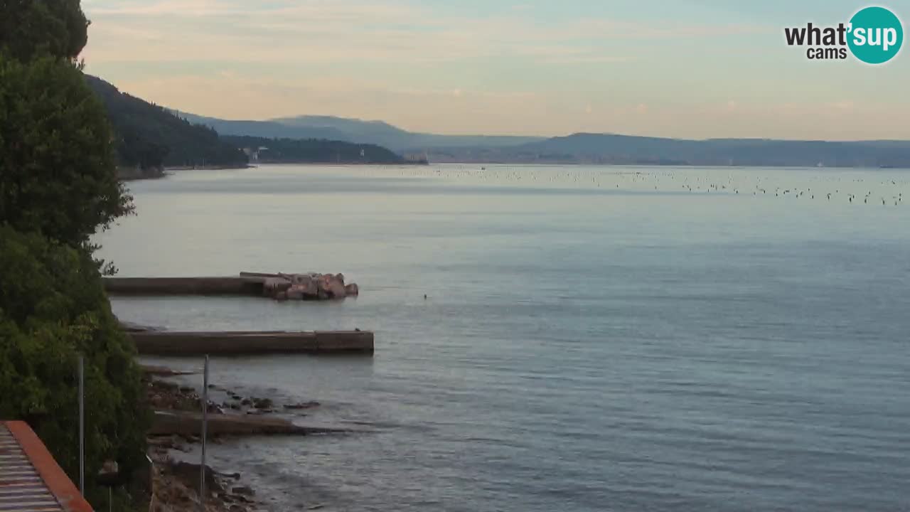 Webcam del restaurante BellaRiva | Costa de Trieste – vista hacia el castillo de Miramare