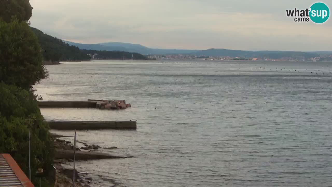 Webcam BellaRiva restaurant | Trieste coast – view to Miramare castle