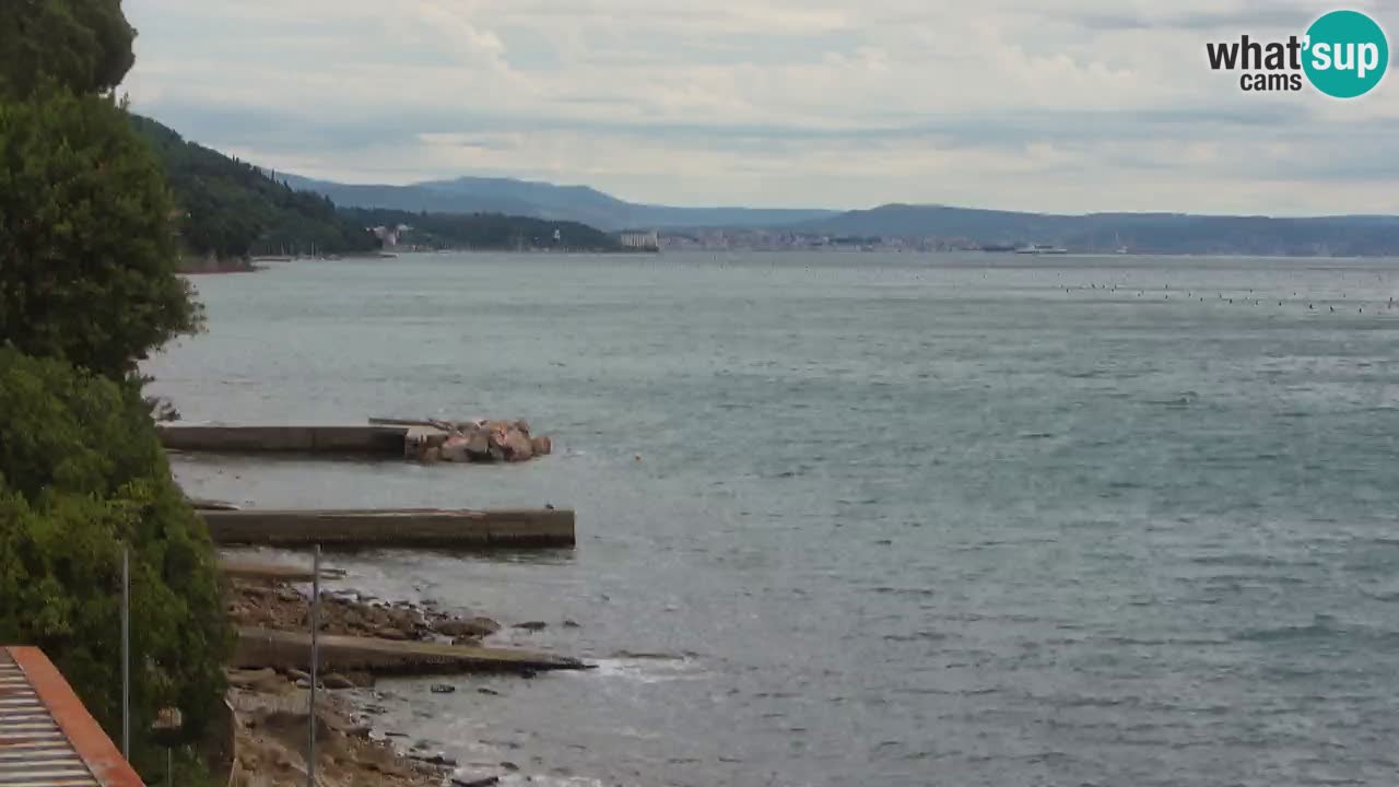 Webcam BellaRiva restaurant | Trieste coast – view to Miramare castle