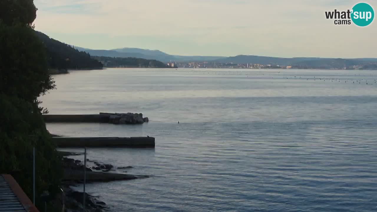 Webcam BellaRiva restaurant | Trieste coast – view to Miramare castle