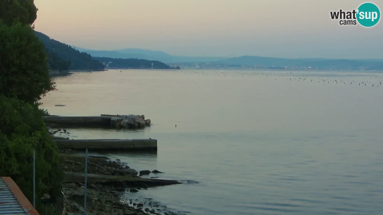 Webcam du restaurant BellaRiva | Côte de Trieste – vue sur le château de Miramare