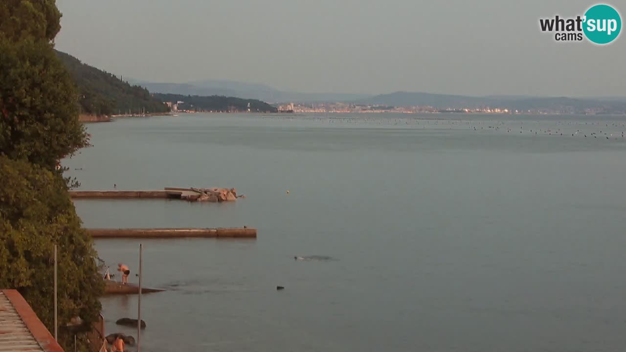 Webcam del restaurante BellaRiva | Costa de Trieste – vista hacia el castillo de Miramare