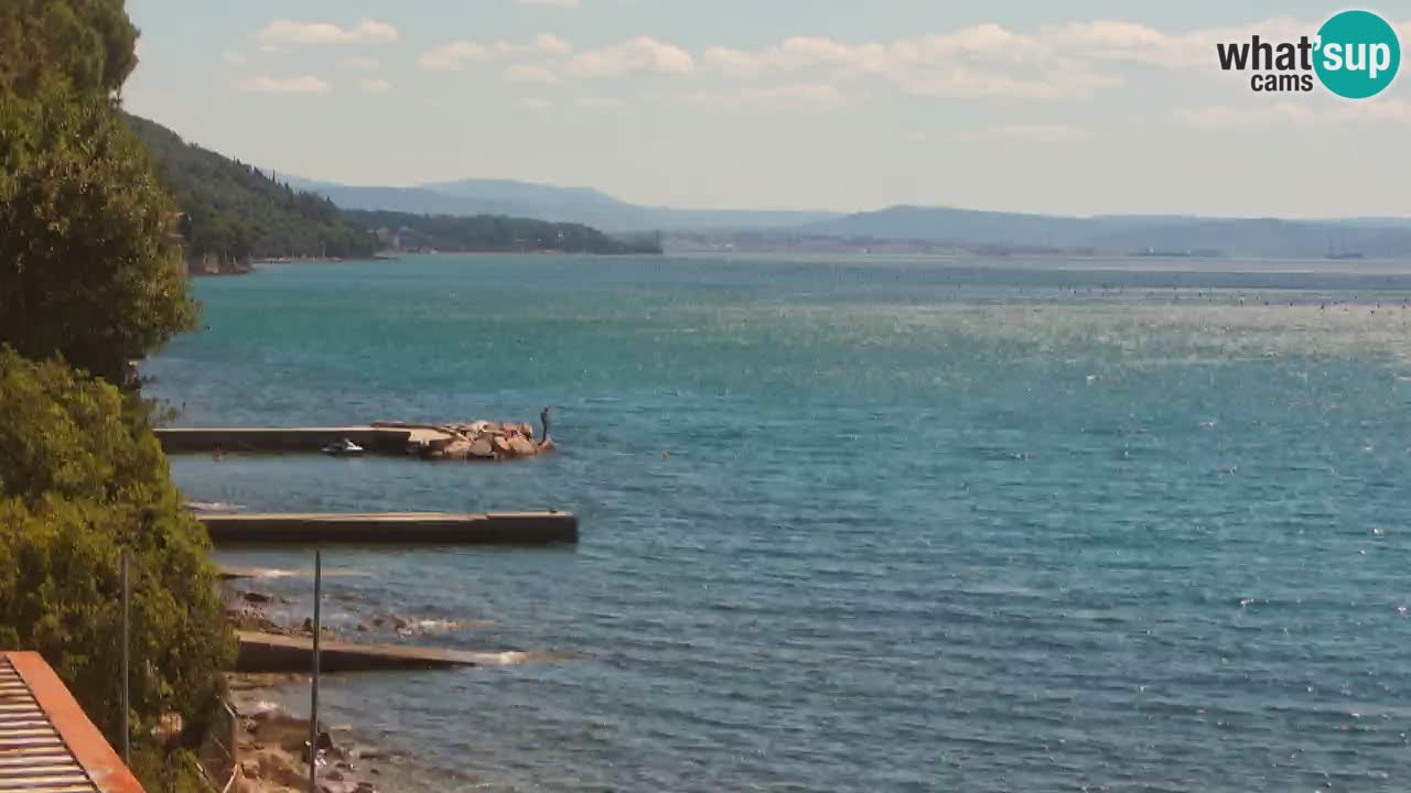 Webcam du restaurant BellaRiva | Côte de Trieste – vue sur le château de Miramare