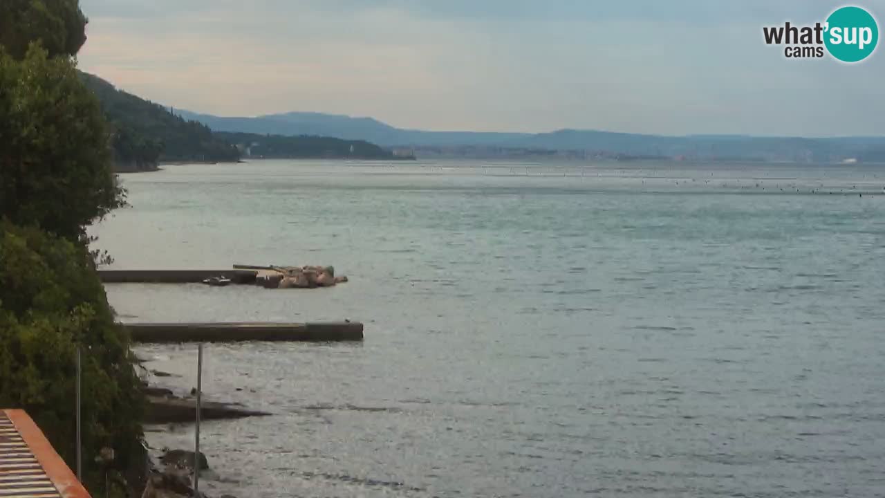 Webcam du restaurant BellaRiva | Côte de Trieste – vue sur le château de Miramare
